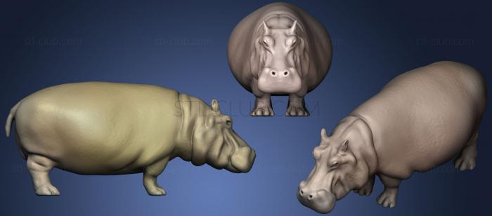 3D model Hippopotamus (STL)